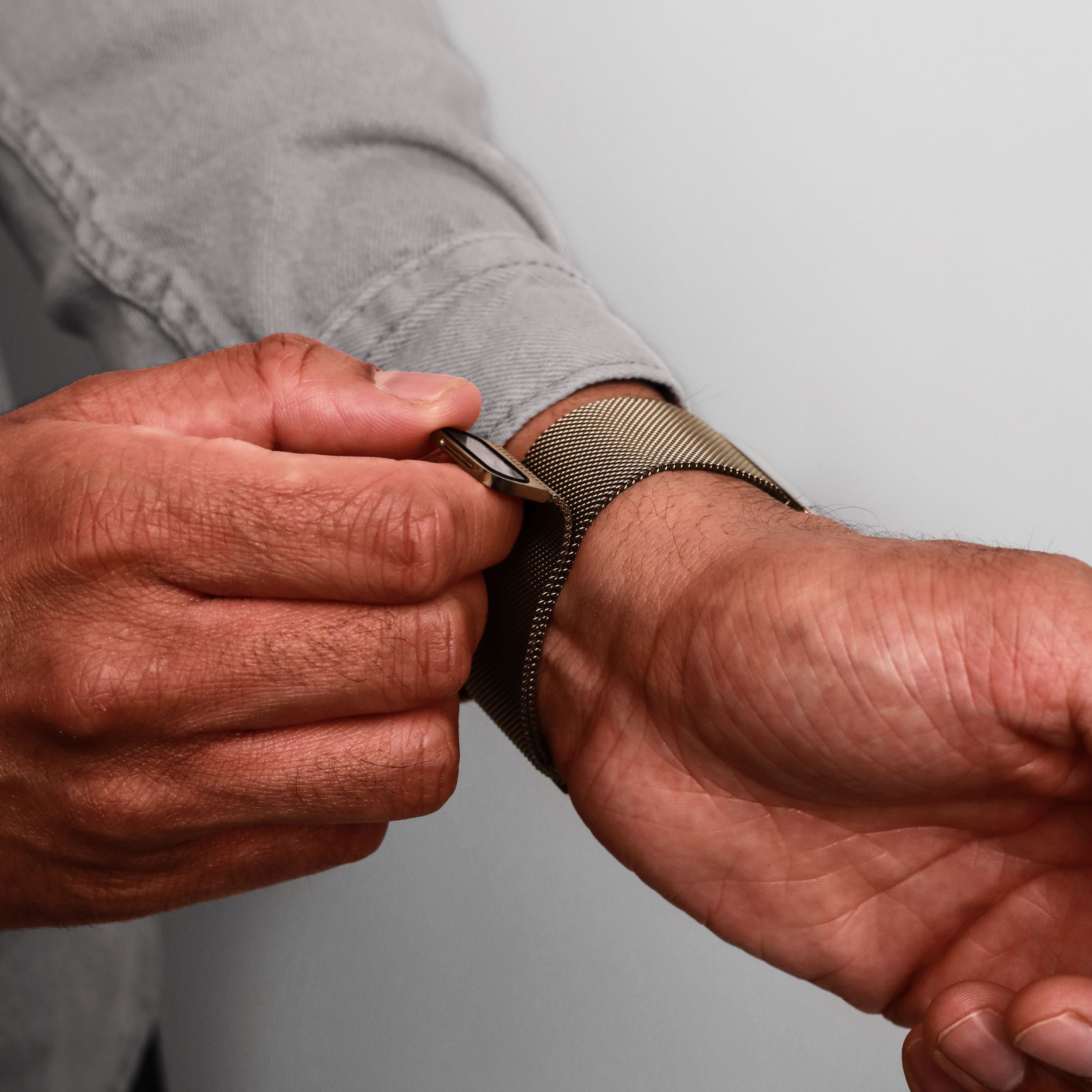 Milanese Loop 2